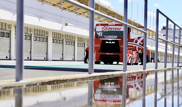 年世界定向 年世界定向