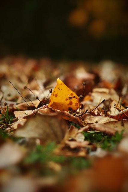 保持强大的 保持强大的