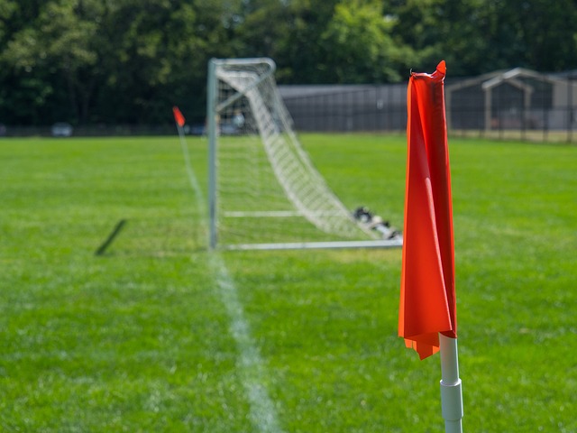 全运会的关 全运会的关