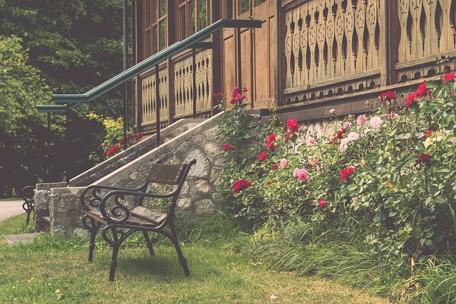 西部竞争白 西部竞争白