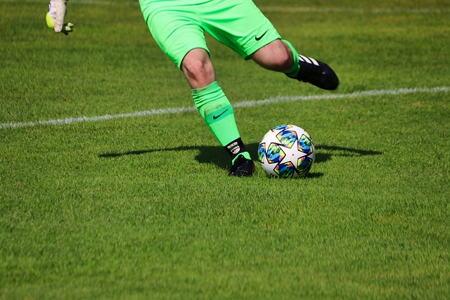 搏击运动的 搏击运动的